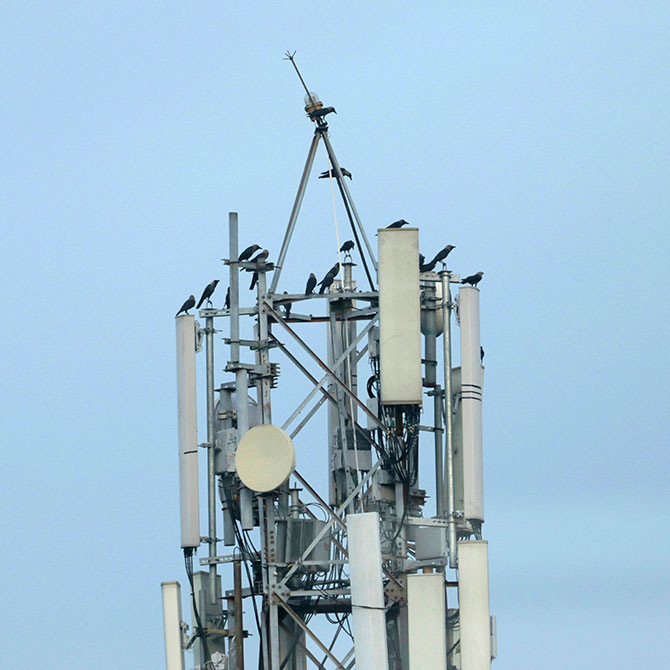 Industries We Serve | Telecommunications